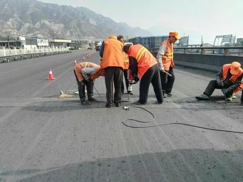 台安道路桥梁病害治理